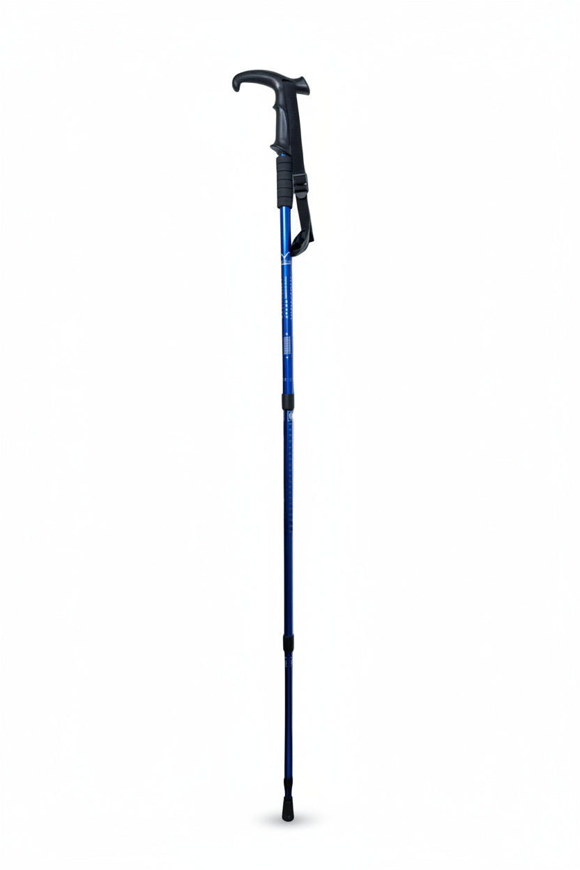 T Handle Hicking Blue Stick