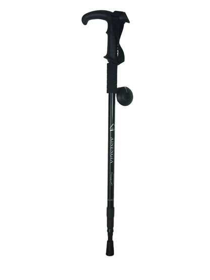 T Handle Hicking Black Stick